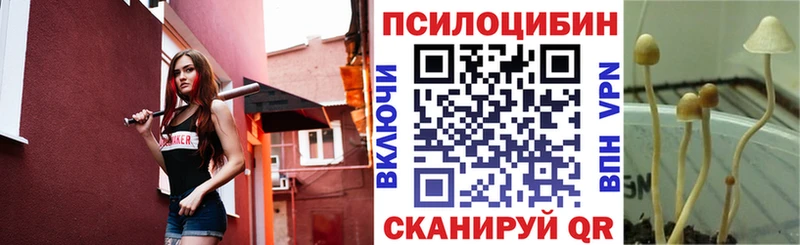 Псилоцибиновые грибы мухоморы  МЕГА сайт  Тольятти 