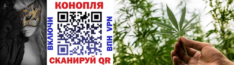 Бошки марихуана OG Kush  Тольятти 